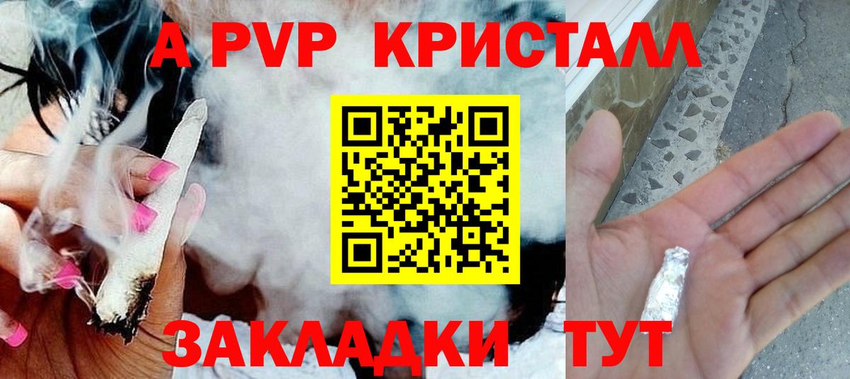 Альфа ПВП СК Вологда