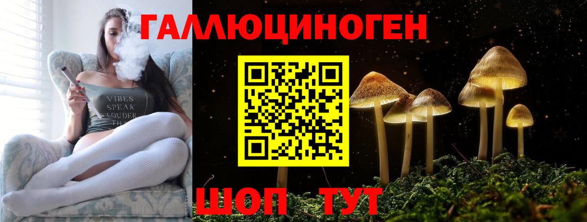 Галлюциногенные грибы MAGIC MUSHROOMS  Псилоцибиновые грибы Magic Shrooms  Вологда  Вход с VPN 